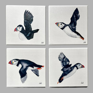 Puffins Coasters - New Finn Art