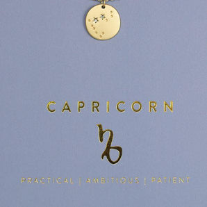 Capricorn Zodiac Necklace